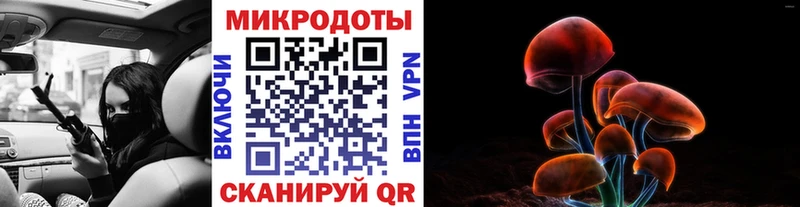 blacksprut сайт Теберда Псилоцибиновые грибы Psilocybe наркота